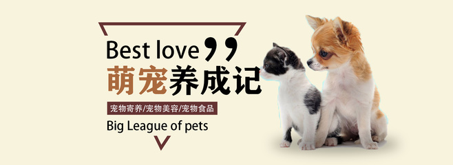 冰汽时代2存档怎么备份